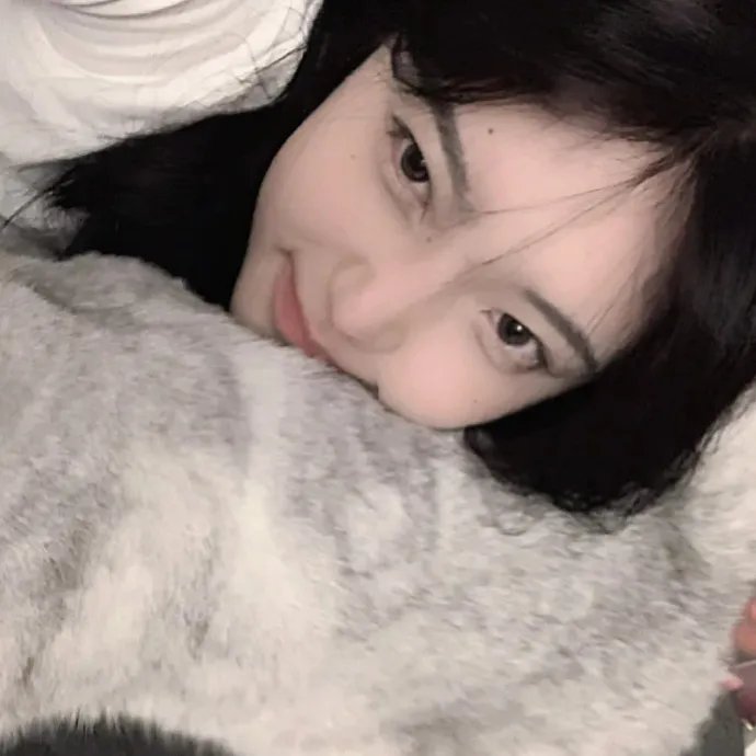 懒女苏珊 封面