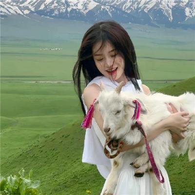 玩家战争 封面