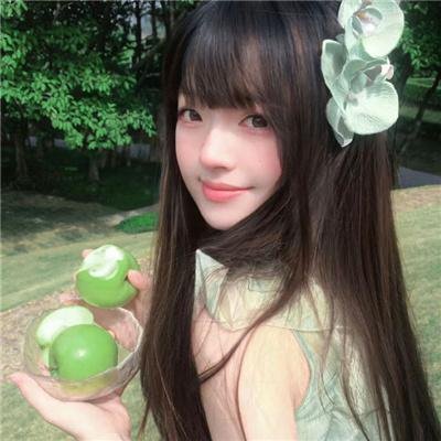 动画综艺